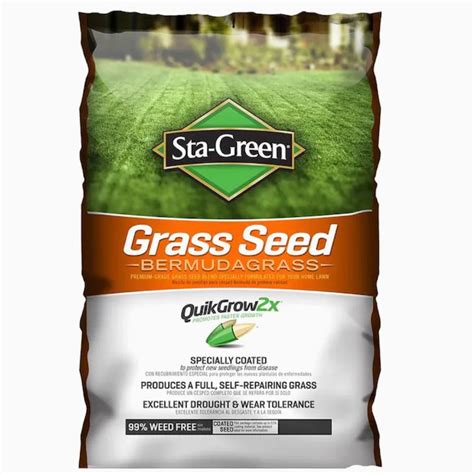 The 7 Best Grass Seed Products Of 2022
