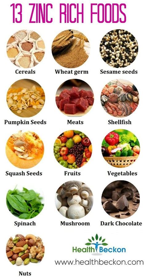 Zinc Rich Foods Chart Fruits Vegetables List 41 Off