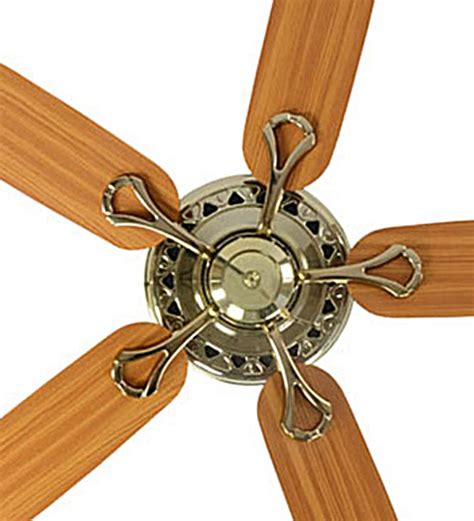 Buy Usha Hunter Savoy Bright Brass Ceiling Fan With Five Blades Online