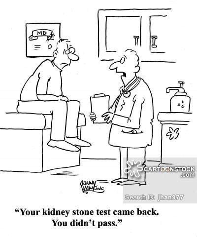And that's assuming that the kidney in the image isn't from a deceased person (judging by the damage it's quite possible). TAKE CHARGE OF YOUR KIDNEY STONE PREVENTION | Kidney Stone Evaluation And Treatment Program