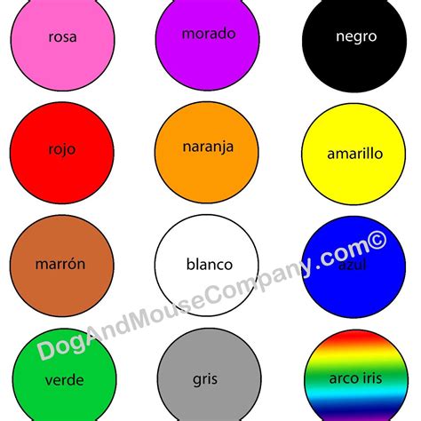 Learn Your Colors In Spanish Aprende Tus Colores Printable Digital