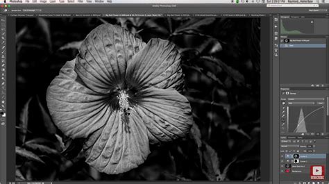 Using Texture To Create Black And White Photography Youll Want To