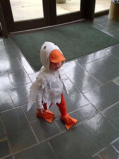 Why Cant I Find A Goose Costume Anywhere Duck Costumes Halloween