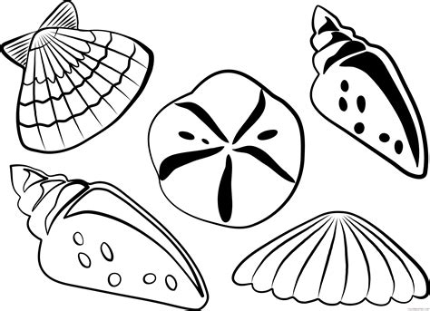Sea Shells Coloring Page Printable Sketch Coloring Page