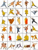 Kung Fu Animal Styles Pictures