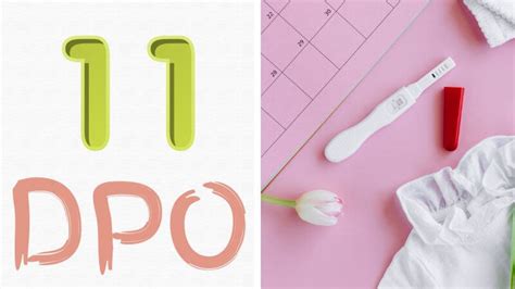 A Complete Guide On 11 Dpo Best For Ttc