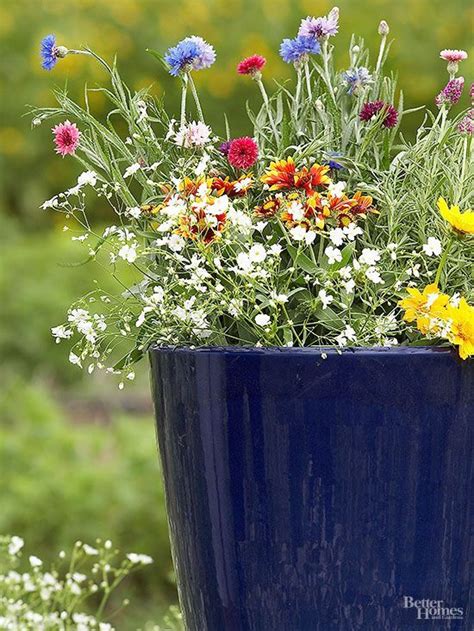 Cheap Patio Ideas Container Gardening Pollinator Garden Garden