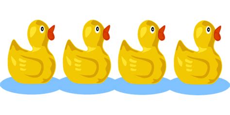 Ducklingsducksswimmingwaterdomestic Free Image From