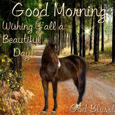 Beautiful Horse Good Morning Wishes Pictures Photos And Images For