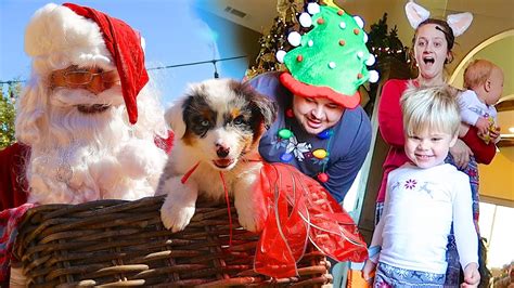 Christmas Puppy Surprise Santa Caught On Camera Daily Bumps