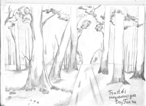How To Draw Forest Step By Step Tree Drawings Pencil Forest Sketch