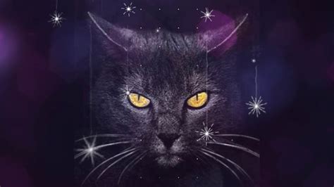 Check spelling or type a new query. Black Cats & Superstition - YouTube