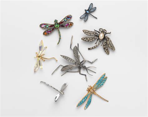Dragonfly Pins Read My Pins The Madeleine Albright Collection