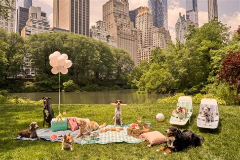 Picnic Party Central Park Gray Malin