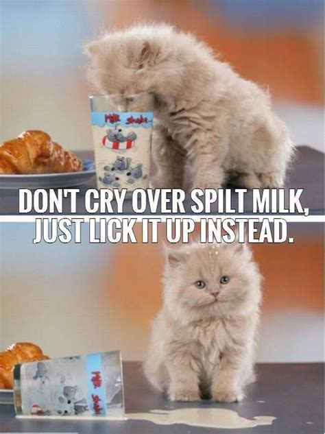 Dont Cry Over Spilt Milk Just Lick It Up Instead Picture Quotes
