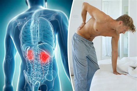 The kidneys are located on either side of the spine, under the ribcage. Symptoms of kidney cancer: 12 early warning signs of the life-threatening disease | Mens and ...