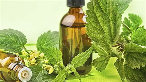 When Does A Herbal Medicine Become A Mainstream Medicine