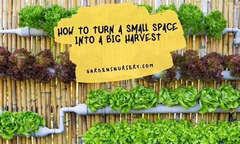How To Turn A Small Space Into A Big Harvest With Vertical Garden