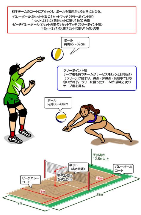 このアカウントには、性的興奮を催すリンクや破廉恥な画像を多数含みます。 もし嫌悪感を感じたらミュートないしはブロック下さい。 #uncensored #無修正 #pornstar #av女優. 最高のソフト バレーボール イラスト