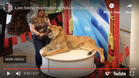 Nikulin Moscow Circus Russia 911 Animal Abuse