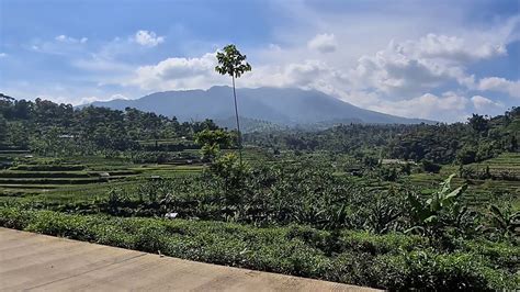 Bandung barat, viewnya kota bandung dengan 47 unit kavling pilihan lengkap dengan sertifikat hak milik (shm) per unit. Jual Tanah Kavling Bandung Harga Murah 081312330108 ...