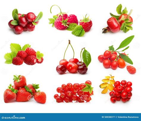 Different Type Of Berry Fruits Isolated Stock Image Image Of Fresh