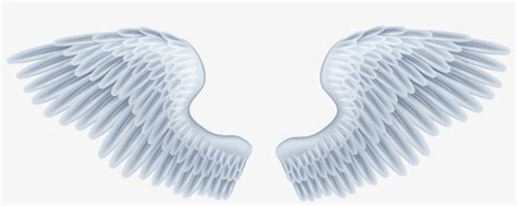 Download Baby Angel Wings Png Angel Wings Clipart Transparent