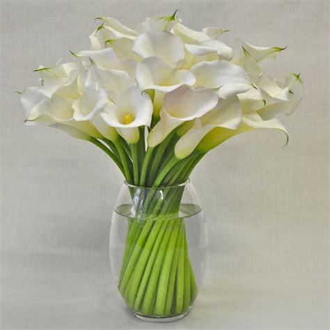 Large White Modern Calla Lilies Luxuriously Modern Flowers
