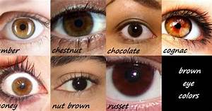 Which Is The Most Common Shade Of Brown Eyes Girlsaskguys
