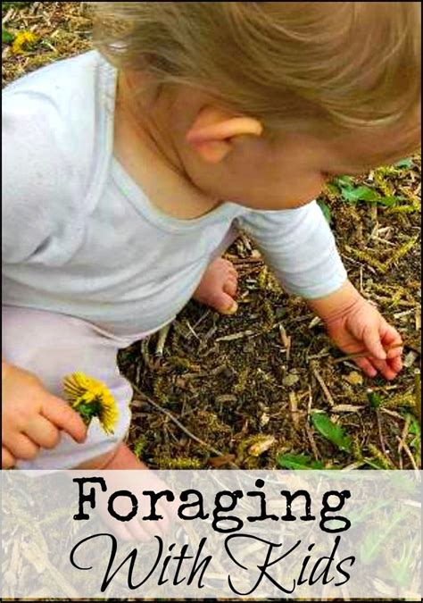 Foraging For Wild Edibles With Kids Wild Edibles Wild Food Foraging