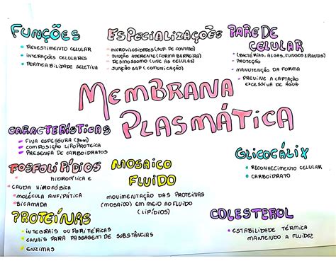 Mapa Mental Sobre Membrana PlasmÁtica Maps4study