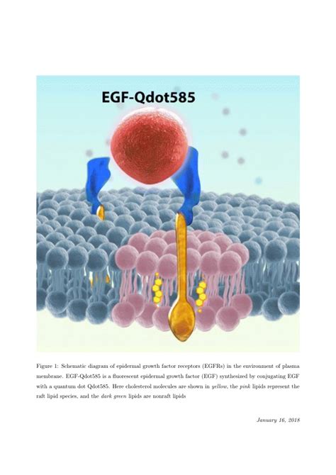 Consists of 3 experiments from chapter 3, form. Elsevier - Food Chemistry Template