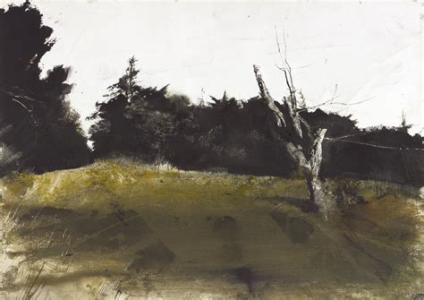 Wyeth Andrew Orchard Knoll 1956 Mutualart
