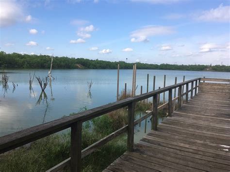 Edinburg Scenic Wetlands 2019 All You Need To Know Before You Go