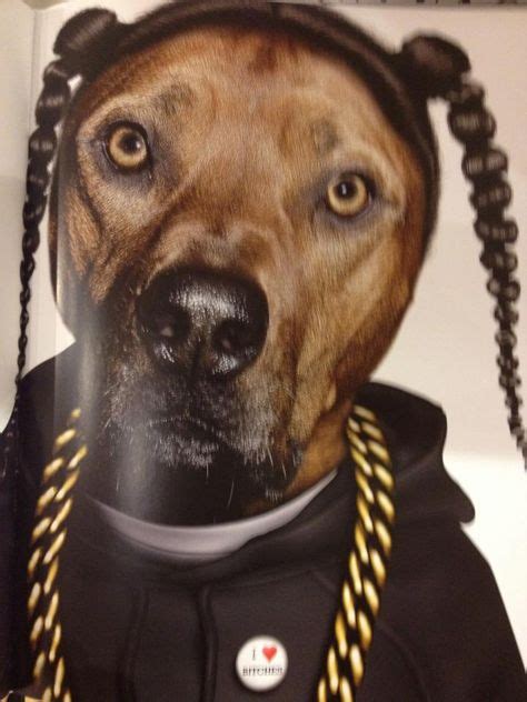 Gangsta Dog Funny Dog Pictures Pet Costumes Riding Helmets