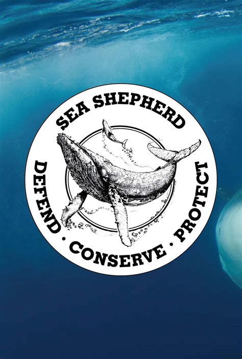 Sea Shepherd Logo Sticker Pack Of 5 Sea Shepherd New Zealand