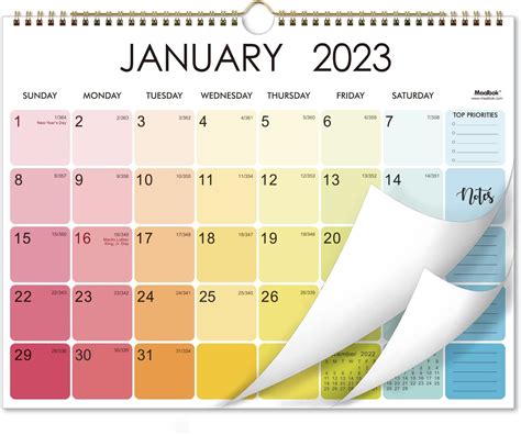 Buy Calendar Wall Calendar From Jan Jun Porn