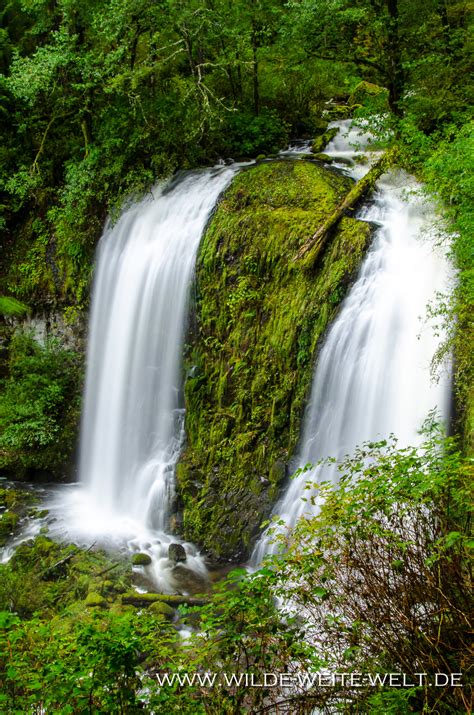 Upper Mccord Creek Falls Columbia River Gorge Mccord Creek