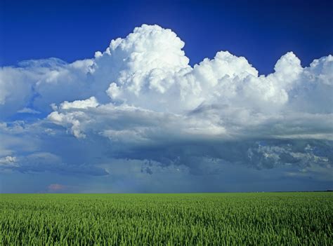 Learn The Types Of Clouds And How To Identify Them