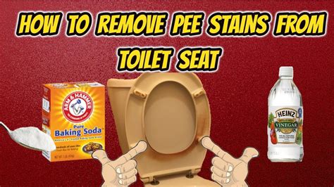 effective methods to remove urine stain from toilet bowl removemania