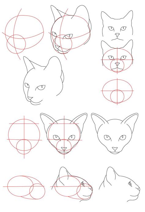 Cat Tutorial Head By Perianardocyl On Deviantart Cats Art Drawing