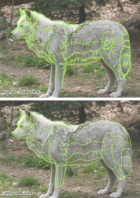 How To Draw Animals Quickly Render Fur Эскизы животных Рисовать