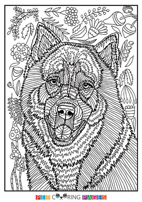 Free Printable Siberian Husky Coloring Page Kyro Available For