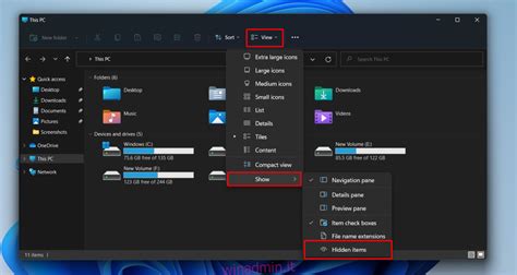 Come Mostrare I File Nascosti In Windows 11 ⋆ Winadminit