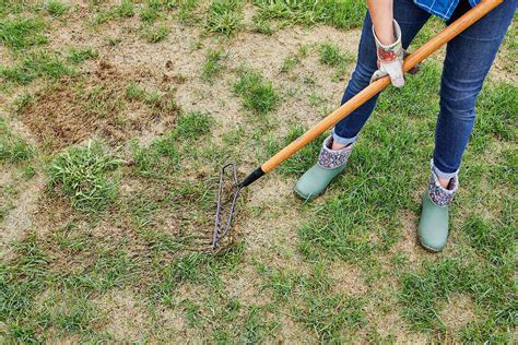 How To Repair Patchy Spots In Your Lawn Better Homes And Gardens