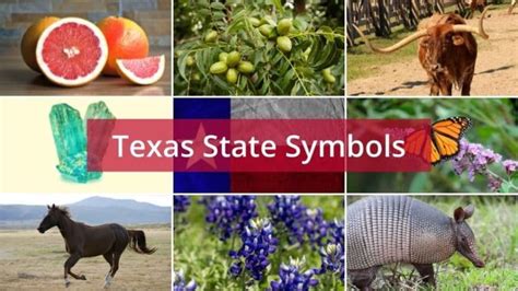 What Are The Texas State Symbols Foreign Usa
