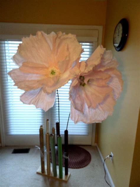 Giant paper flowers for sale. Large Tissue Paper BLUSH POPPIES Giant Poppy Flowers Fully ...