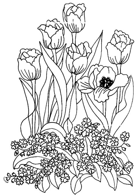 Plansa de colorat flori desene de colorat 63 este disponibilă gratuit pentru imprimare și / sau descărcare. Lalele in gradina de colorat