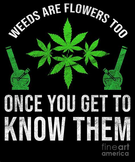 Smoke Weed Cannabis Hash Dope Ganja Blunt Bong Digital Art By Teequeen2603