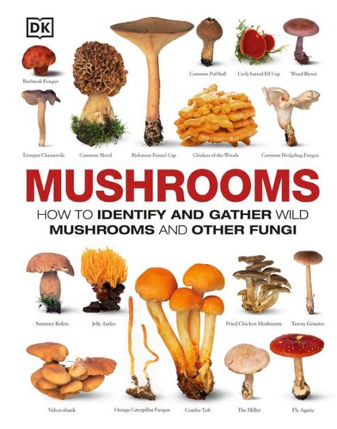 Mushrooms The Complete Mushroom Guide By Dorling Kindersley Publishing